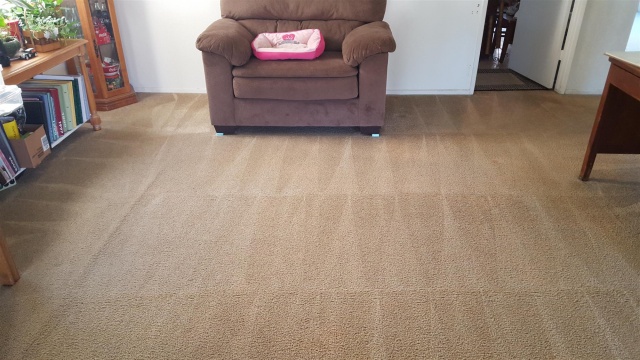 Huntington Beach Carpet Cleaning